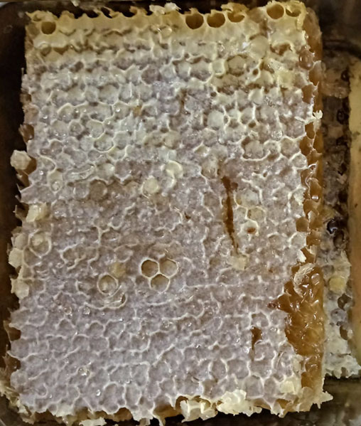 از کجا بفهمیم عسل طبیعی است